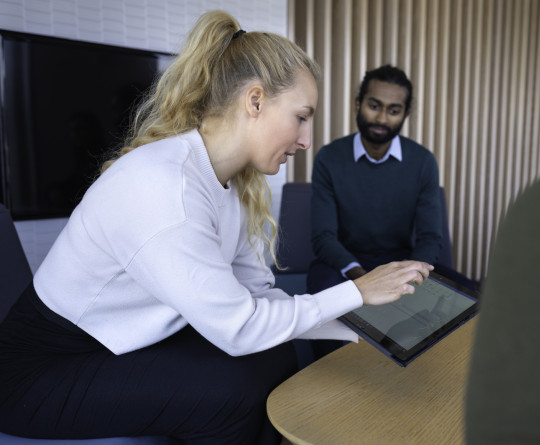 Colleagues in a meeting